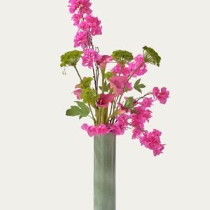 Purple and Green Bougainvillea