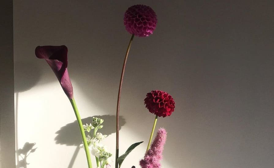 portfolio-styl-02-02